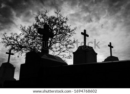 Cemetery or graveyard and dead tree in the night with dark sky and clouds. Silhouette death tree and cemetery. Funeral concept. Sadness, lament and death background. Scary and scary burial ground.