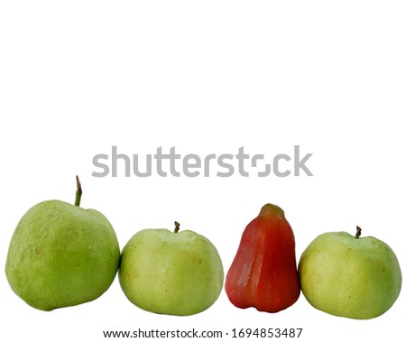 Guava Green  and rose apple
 isolated on white background 