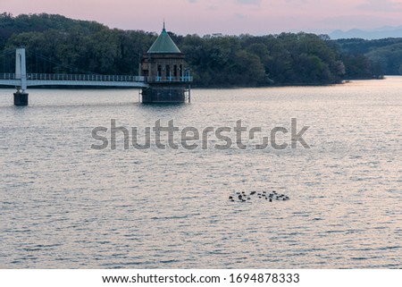 Lake, sky, forest, intake tower and duck at sunset.