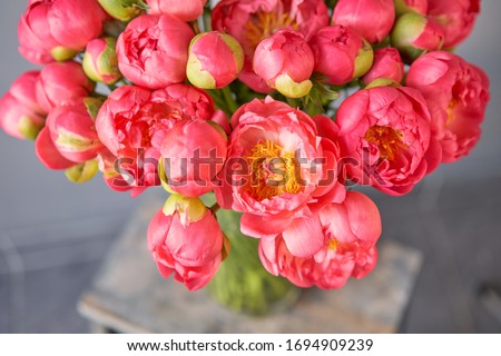 Coral peonies in a glass vase on wooden table. Beautiful peony flower for catalog or online store. Floral shop concept . Beautiful fresh cut bouquet. Flowers delivery.