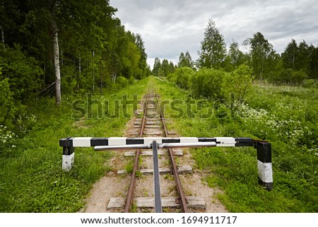 Railway barrier of white and black against the background of paths and nature in the forest