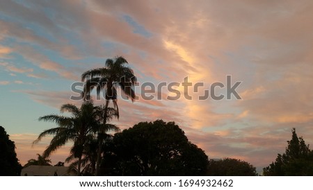 Australia's beautiful sunset sky picture and palm silhouette