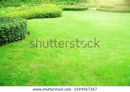 Garden with fresh green grass both shrub and flower front lawn background, Garden landscape design Fresh grass smooth lawn with curve form bush in house's garden care.