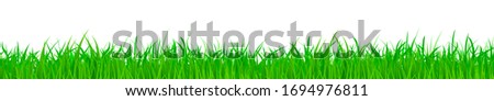 Green grass, field, grassland, nature eco background - vector