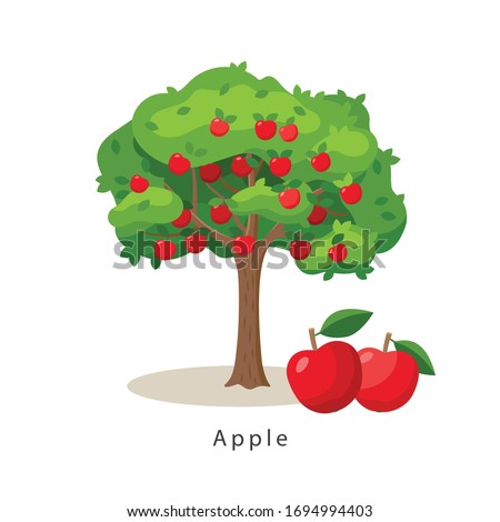 Apple tree vector illustration in flat design isolated on white background, farming concept, tree with fruits and big red apples near it, harvest infographic elements. Royalty-Free Stock Photo #1694994403