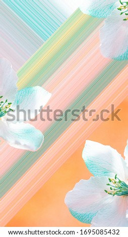 Modern collage. View of the flowers of the apple tree on a colorful background in pastel colors. Concept background, flowers, holiday, abstraction.