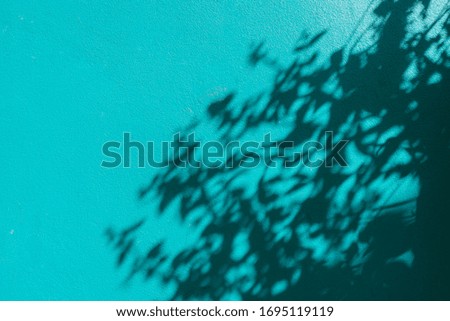 abstract background of  shadow leaf on green concrete background