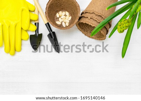 Top view of garden tools, seeds of pumpkin, peat seedlings pots and yellow protective gloves located on the top on a white wooden table. Springtime gardening flat lay. Background with copy space.