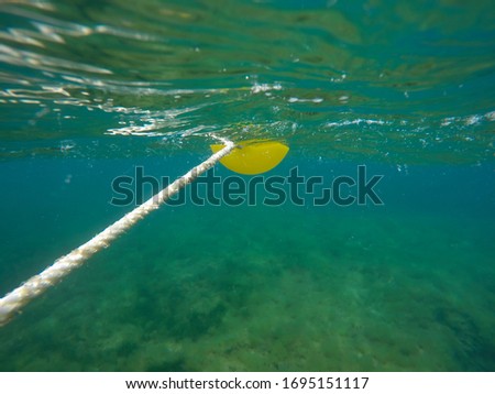 Underwater image with yellow buoy Las Rotas San Antonio cape nature reserve Denia Alicante Spain