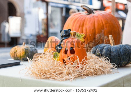 Halloween pumpkins on display at local boutique outdoor.