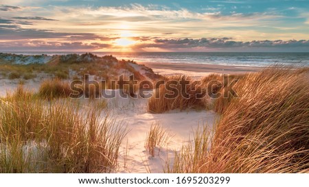 Sunset View from dune top over North Sea from the island of Ameland, Friesland, Netherlands Royalty-Free Stock Photo #1695203299