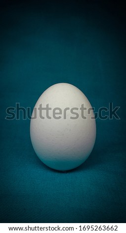 Egg photo in a blue studio set up. 