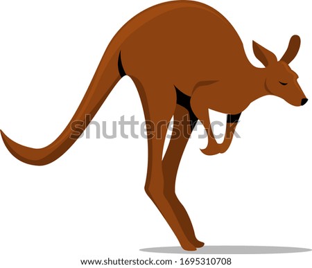 Kangaroo jumping, illustration, vector on white background
