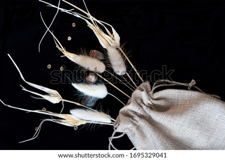 cotton light bag, twigs of dried flowers on a black background