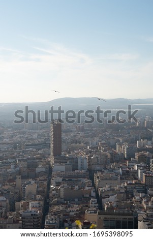 Foggy city view of Alicante, Costa Blanca, Spain with sea eagles flying above the cityscape and the mountains in the background