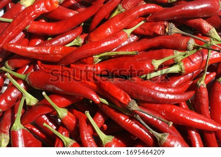Red hot Chili pepper. red Background Royalty-Free Stock Photo #1695464209