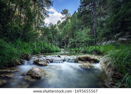 Beautiful river surrounded by green vegetation and a blue sky in the background