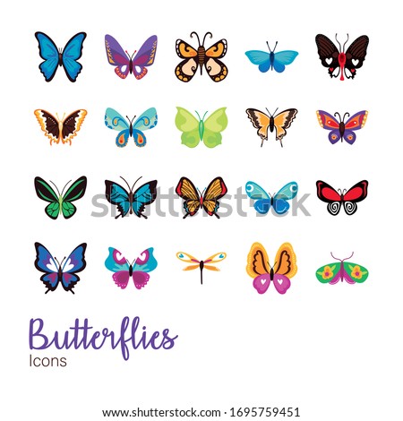 bundle of butterflies set icons vector illustration design
