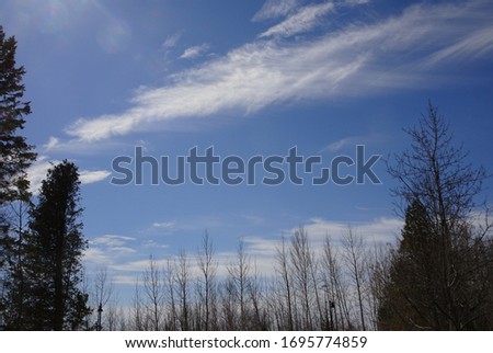 sky, trees and clouds picture
