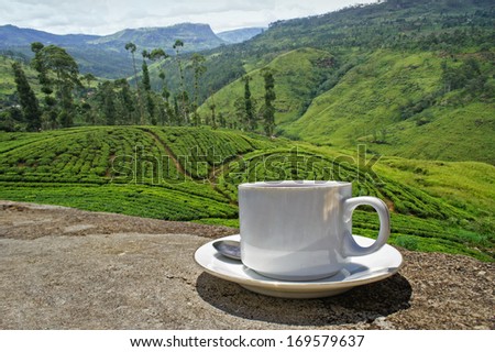 Sri Lanka Tea hills. Tea plantation. Waterfall. Panoramic landscape Royalty-Free Stock Photo #169579637