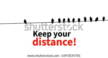 Birds on wires. Keep your distance. Vector illustration
