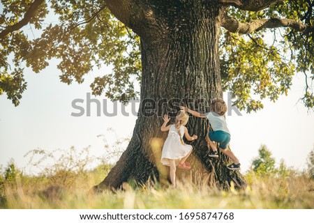 Overcoming the fear of heights. Happy children on countryside. Climbing trees children. Little boy and girl climbing high tree. Funny brother and sister Royalty-Free Stock Photo #1695874768