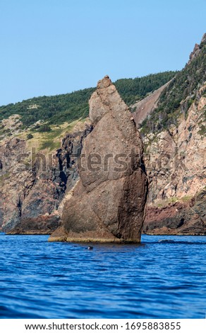 A gigantic rock stands high in the ocean along the Cabot Trail, Cape Breton, Nova Scotia. There are a few seals in the water to complete the picture.