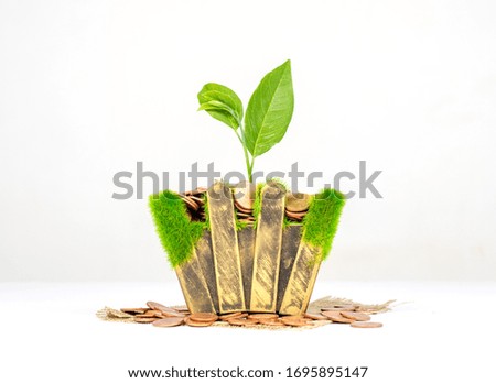 Potted plants and seedlings on silver coins placed on a white background.