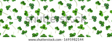 Green clover, the symbol of the holiday St. patrick's day. Seamless pattern of clover leaves isolated on white background, top view, flat lay.