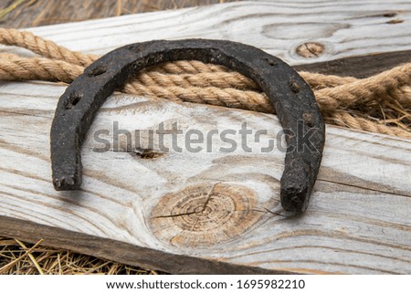 Old horseshoe in the stable on the hay. Nearby is a jute rope.