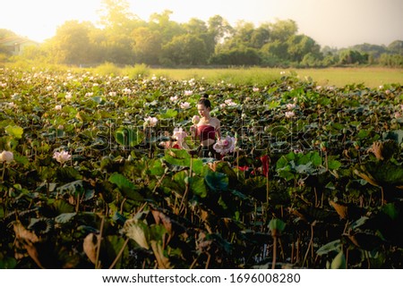 Asian woman collecting lotus flowers and she wear Traditional Thai dresses, Thailand