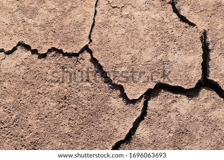 
Texture of dry arid brown earth with cracks.