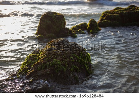 Sandy beach mossy rocks water. Mossy rocks on sandy beach water. Water beach mossy rocks. Sea beach rocks in moss