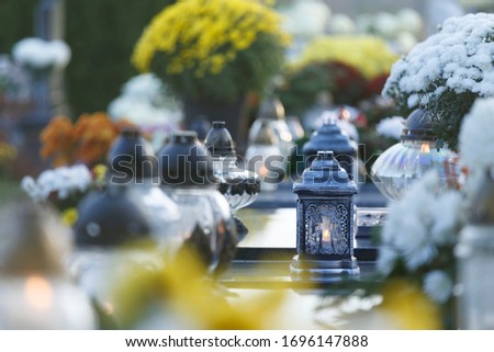 cemetery in the time of all saints day Royalty-Free Stock Photo #1696147888