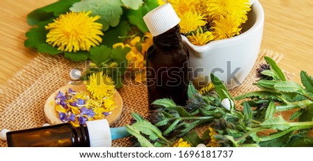 Celandine dandelion extract in a jar, treatment, medicine, tincture. selective focus