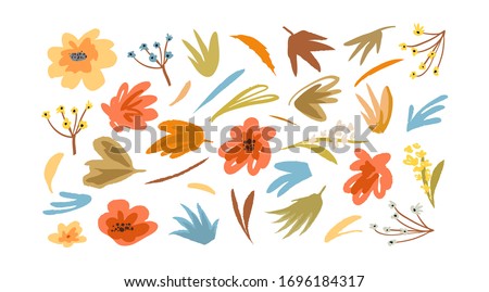 Blooming flowers floral collection vintage graphic set for decoration and design isolated on white background. Vector old fashioned decorative blooming florals bouquet.