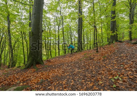 female photographer taking pictures of magical forest with flowing stormy river, selective focus, long exposure