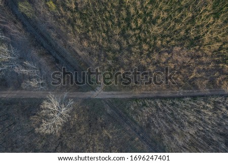 Aerial view over deciduous trees on the road in the woods. Spring photo of the waking forest, viewed from above with a drone, from a height.ult