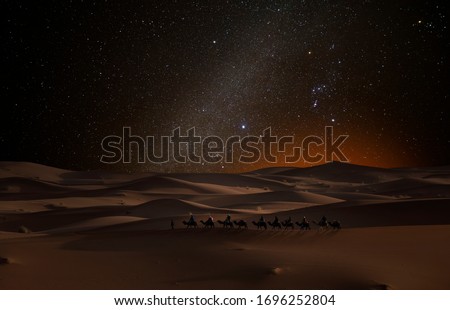 Camel caravan in the desert under the stars