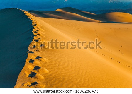 Mesquite Flat Sand Dunes, California. USA. Orange sunset in the desert. The picturesque chains of footprints in the sand dunes. Concept of active, ecological and photo tourism