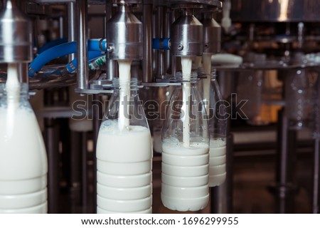 filling milk in to plastic bottles at the factory. equipment at the dairy plant Royalty-Free Stock Photo #1696299955