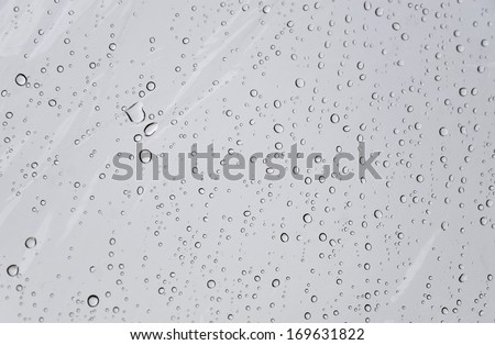 Water droplets on transparent umbrella