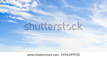 Sky blue background. Natural background