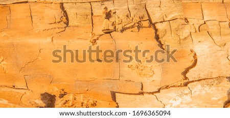 Old natural wooden shabby texture with cracks use as natural background for design. Horizontal image.