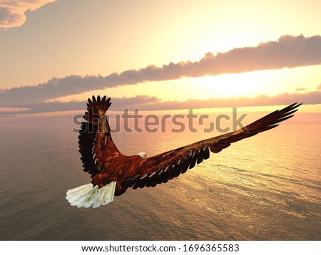 Sea eagle at sunset
Computer generated 3D illustration