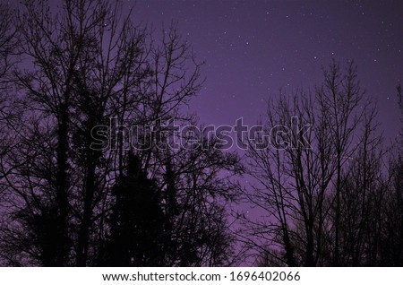 Aesthetic photo of black trees in the dark in front of the beautiful night sky.