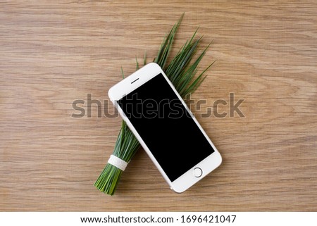 Smartphone mobile phone on wooden surface green grass top view, place for text
