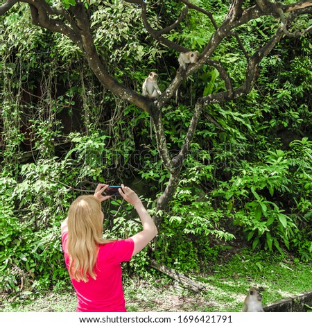 Woman takes pictures of monkeys