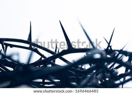 Isolated Crown of thorns with a white background. Royalty-Free Stock Photo #1696466485