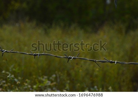 Barbed wire or pointed steel
